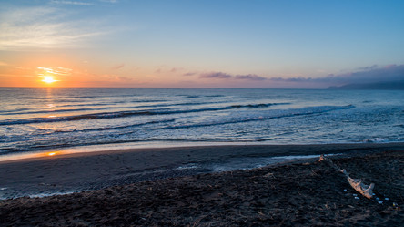 Similar image 13154724