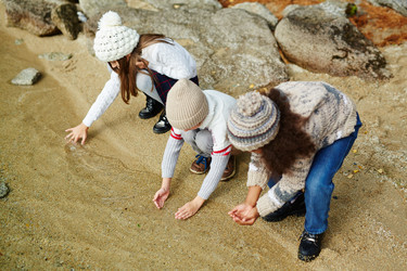 Similar image 13150552