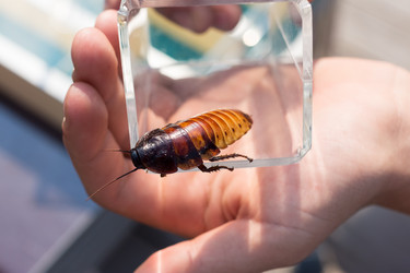 Similar image 13152534