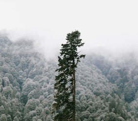 Similar image 13172400