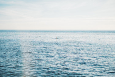 Similar image 13172406