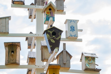 Similar image 13152488