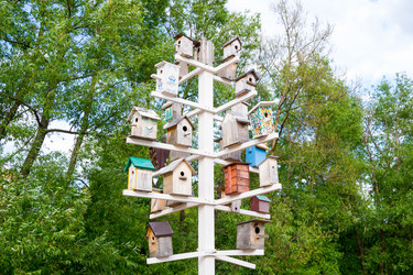 Similar image 13152490