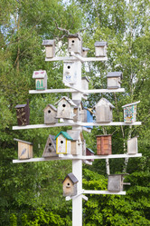 Similar image 13152491