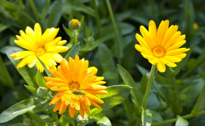 Similar image 13152032