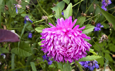 Similar image 13152494