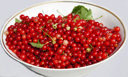 Similar image 13152495