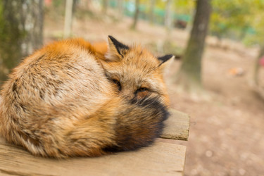 Similar image 13157653