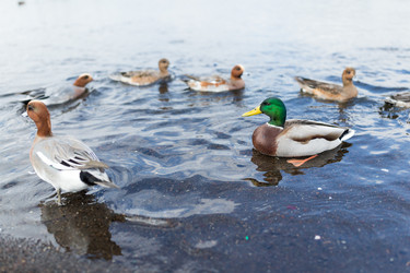 Similar image 13157745