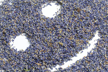 Similar image 13153320