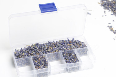 Similar image 13153322