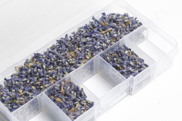 Similar image 13153326