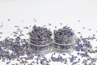 Similar image 13153367