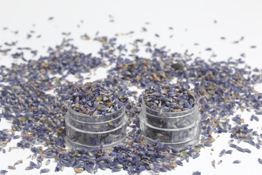 Similar image 13153368