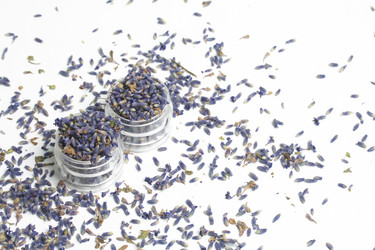 Similar image 13153370