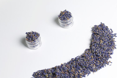 Similar image 13153371