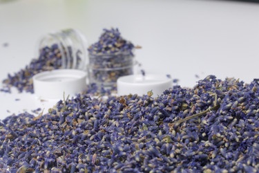 Similar image 13153372