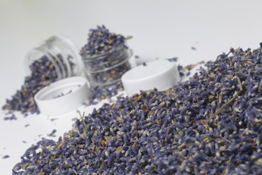 Similar image 13153386