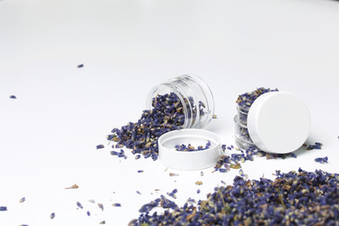 Similar image 13153407