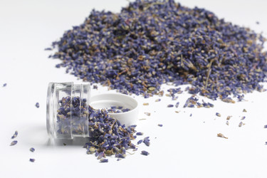 Similar image 13153427