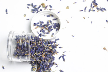 Similar image 13153446