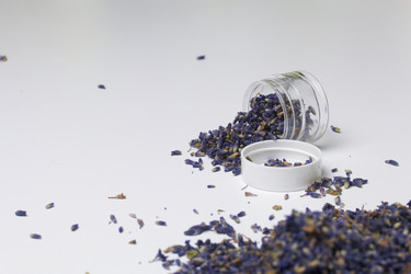 Similar image 13153447