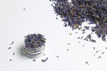 Similar image 13153449