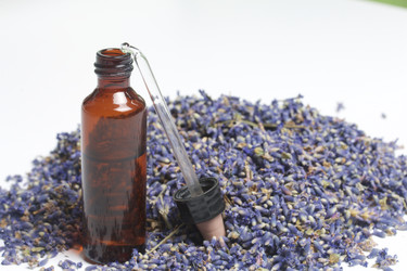 Similar image 13153467