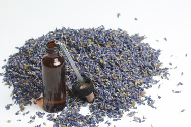 Similar image 13153469