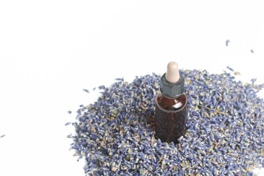 Similar image 13153470