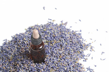 Similar image 13153530