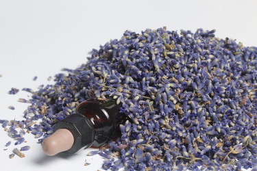 Similar image 13153532