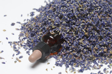 Similar image 13153533