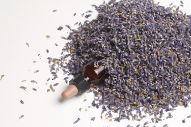 Similar image 13153534