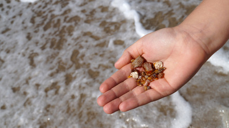 Similar image 13152511