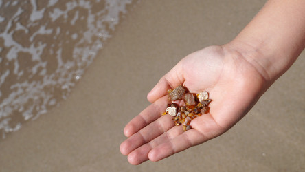 Similar image 13152512