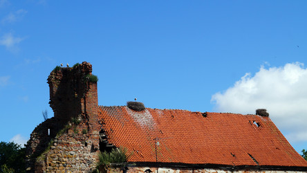 Similar image 13152516