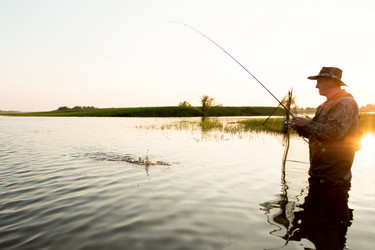 Similar image 13169257