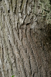 Similar image 13178883