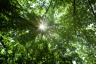 Similar image 13152564