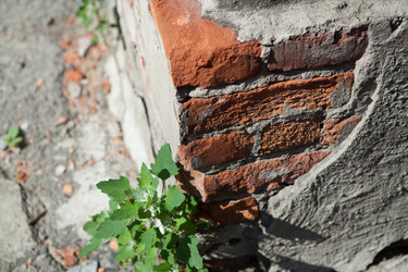 Similar image 13152571