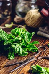 Similar image 13153453