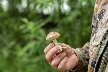 Similar image 13169259