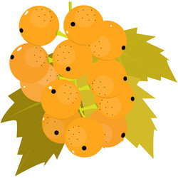 Similar image 13164337