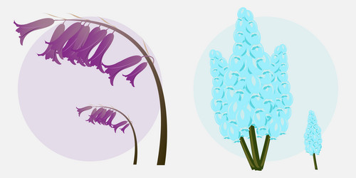 Similar image 13164098