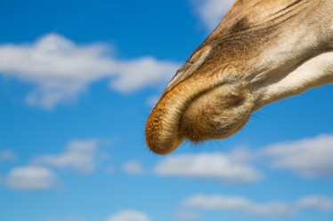 Similar image 13153792