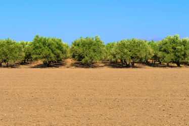 Similar image 13153800