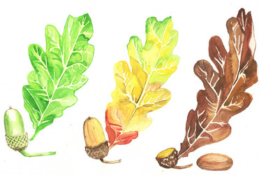 Similar image 13155277