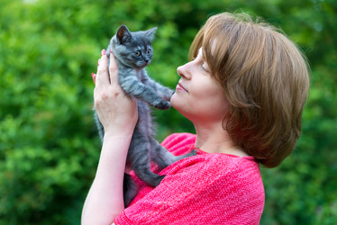 Similar image 13162099