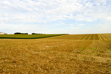 Similar image 13154296